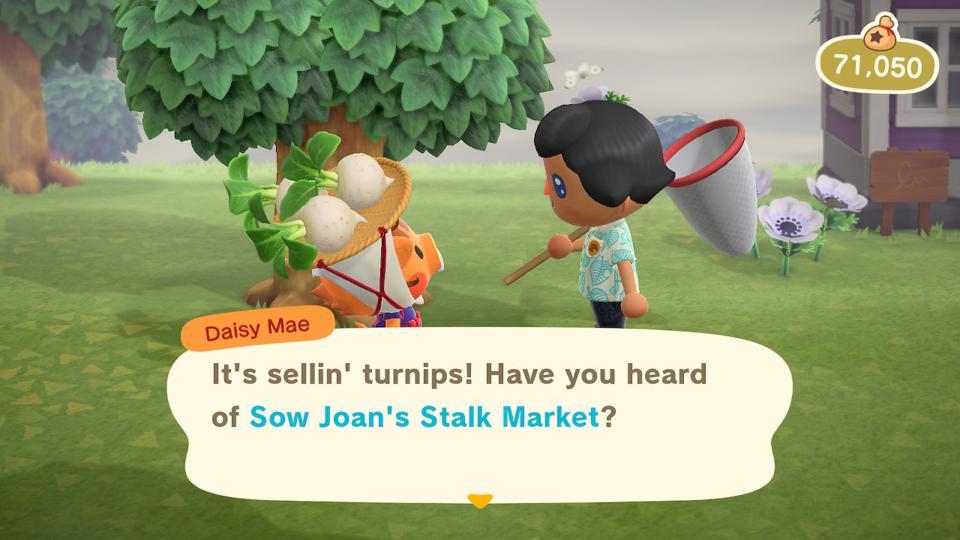 Animal Crossing: New Horizons' Turnip Guide: How To Buy, Sell, And Find The Best Price