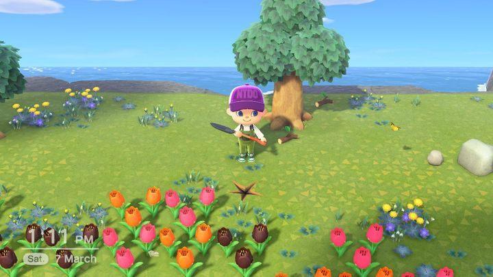 ACNH: Daily activities - what is worth doing? - Animal Crossing New Horizons Guide | gamepressure.com