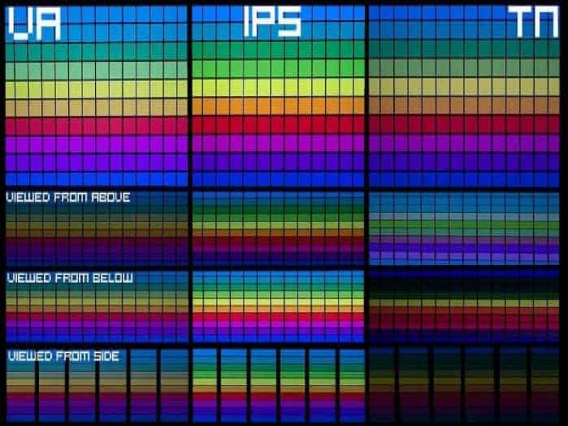 Ips Vs Tn Vs Va Update 05 / 2024