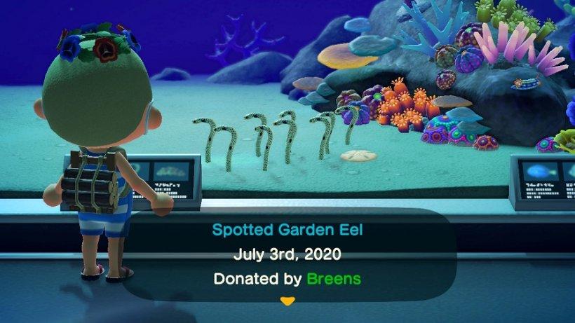 Full list of EVERY sea creature in Animal Crossing: New Horizons [UPDATED] | Pocket Gamer